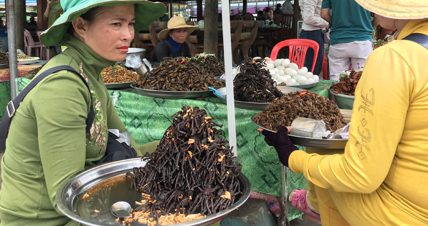 Tarantula Market  in Skun