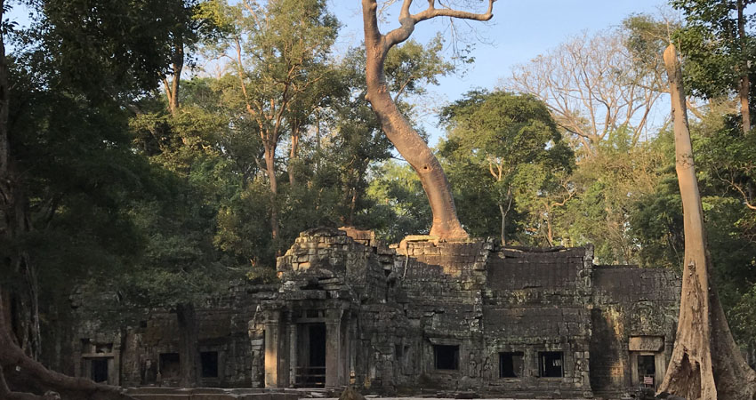 Ta Prohm Temple