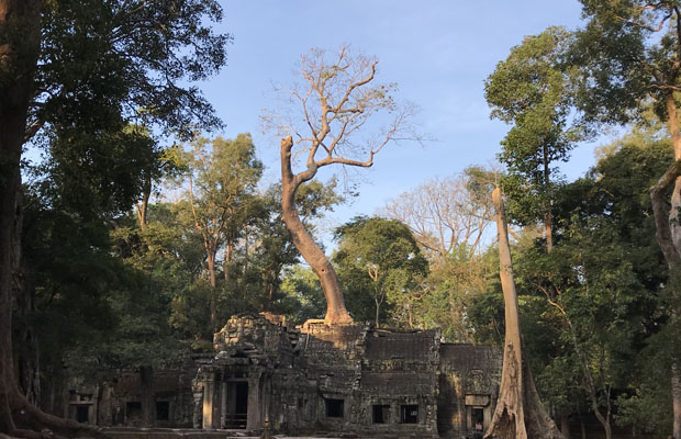 Angkor Wat Private Tour